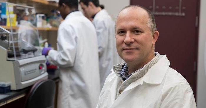 Sweeping product analysis reveals path to more effective probiotic supplements