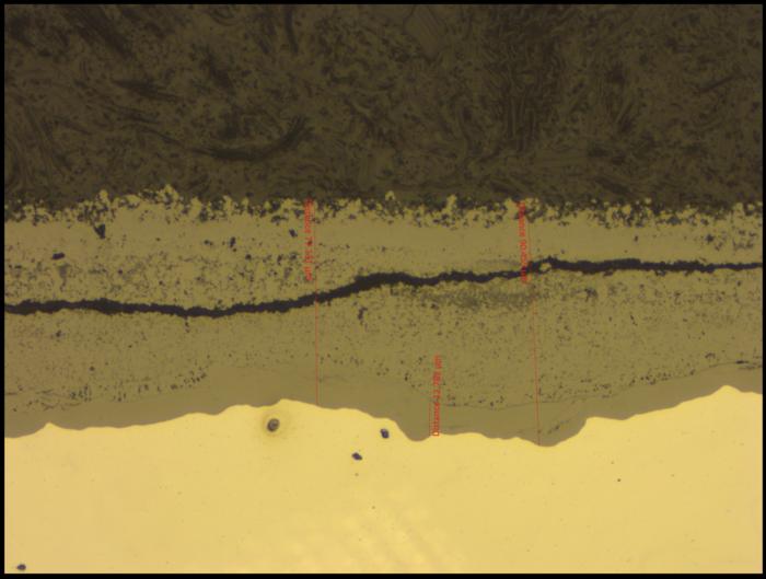 Microscopy image