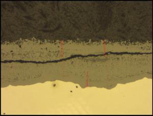 Microscopy image