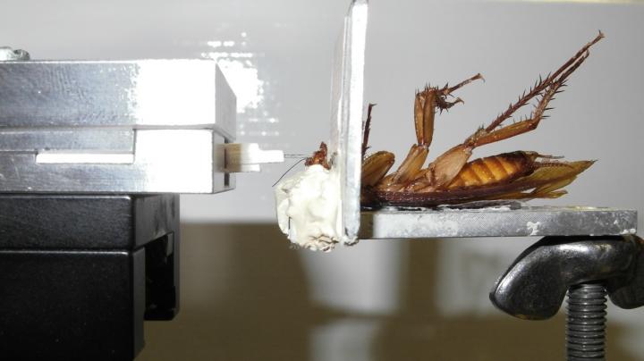 Experimental Setup