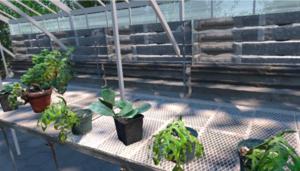 Digital twin farm