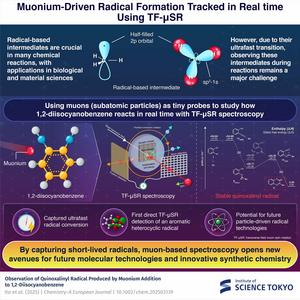 Muonium-Driven Radical Formation Tracked in Real Time Using TF-µSR