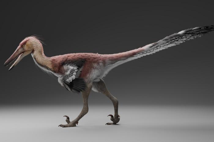 A reconstruction of Kank by the artist Gabriel Díaz Yantén