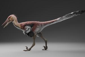 A reconstruction of Kank by the artist Gabriel Díaz Yantén