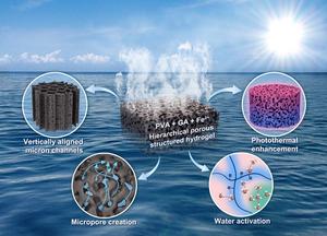 Polyphenol-mediated hierarchical porous hydrogel for highly efficient solar water purification