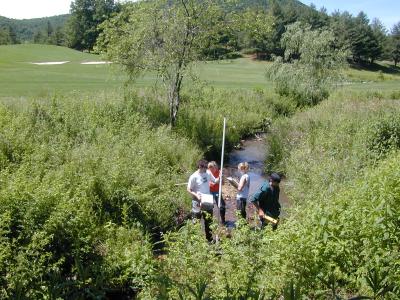 Golf Course Stream