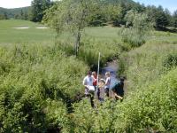 Golf Course Stream