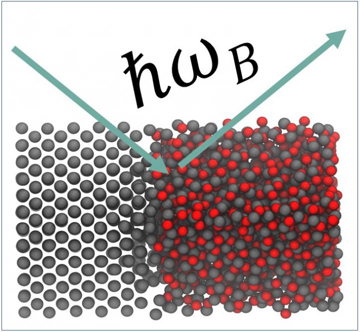 Molecular Dynamics Model