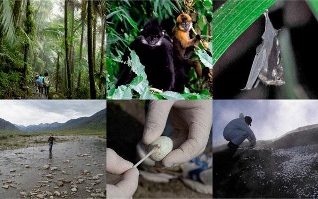 Earth Microbiome Project