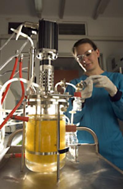 Polymer Oil