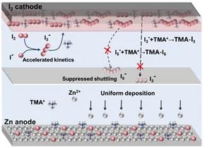 Anion-Cation Synergistic Additives Solve the "Performance Triangle" Problem in Zinc-Iodine Batteries