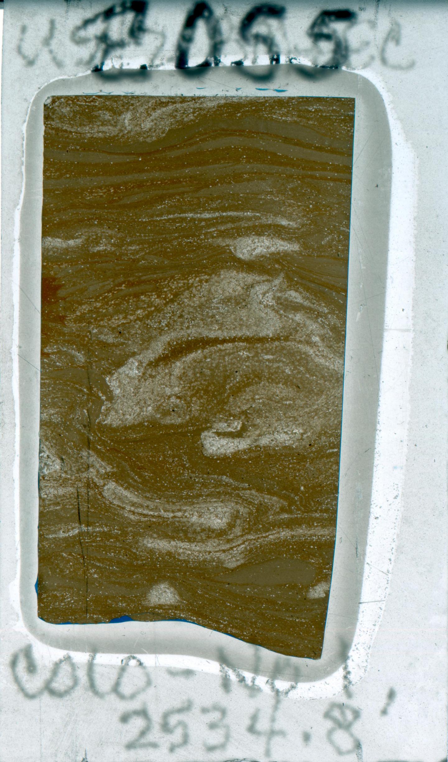 Microbial Features