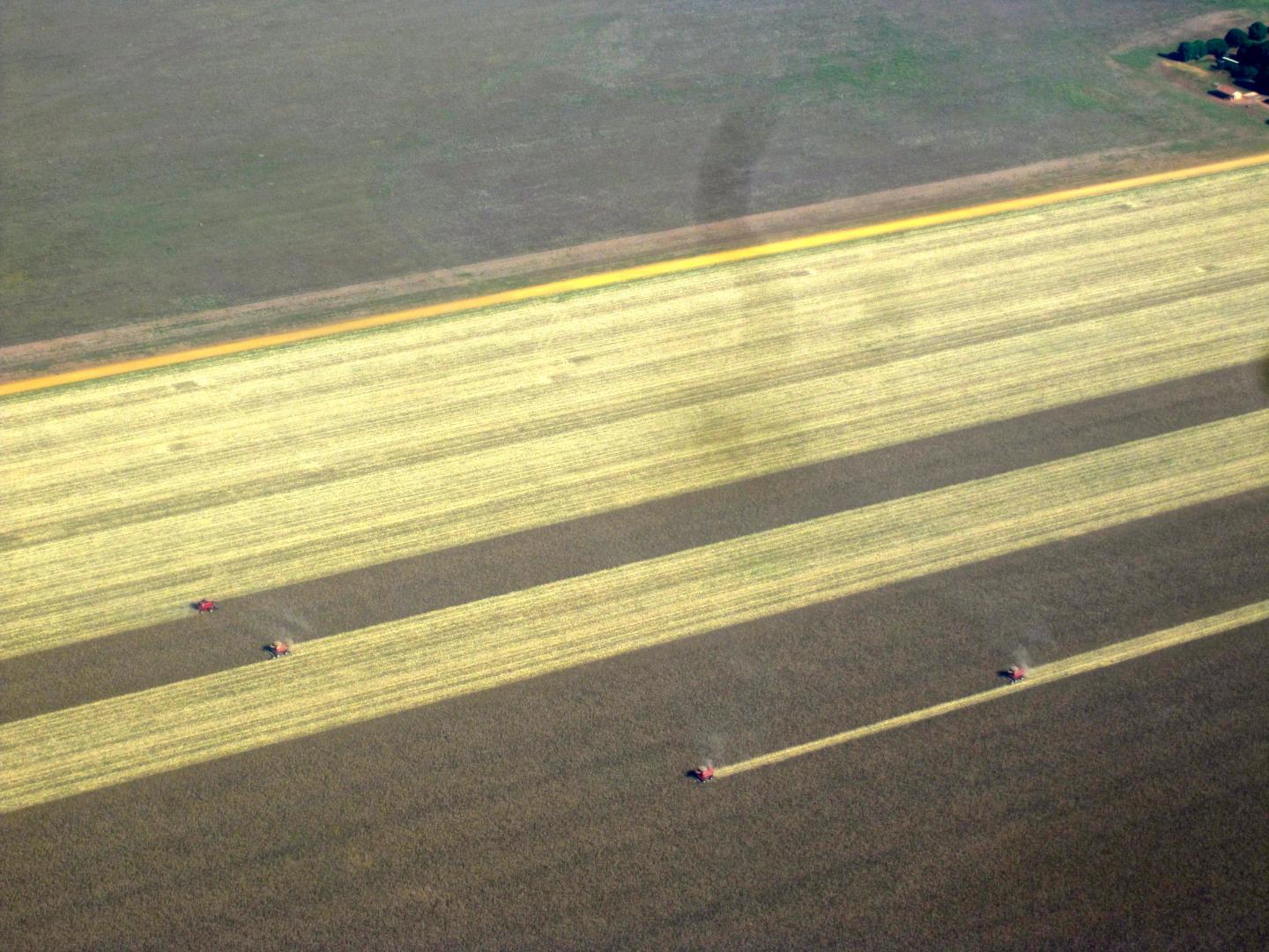 Corn fields being harvested in central Mato Grosso (in the Cerrado), Brazil.