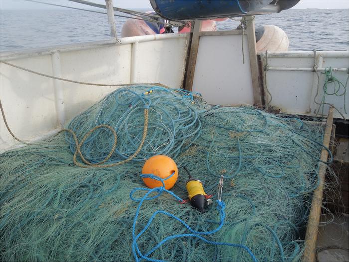 Sound trap recording on a fishing net