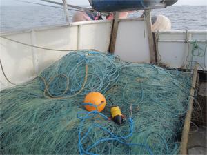 Sound trap recording on a fishing net