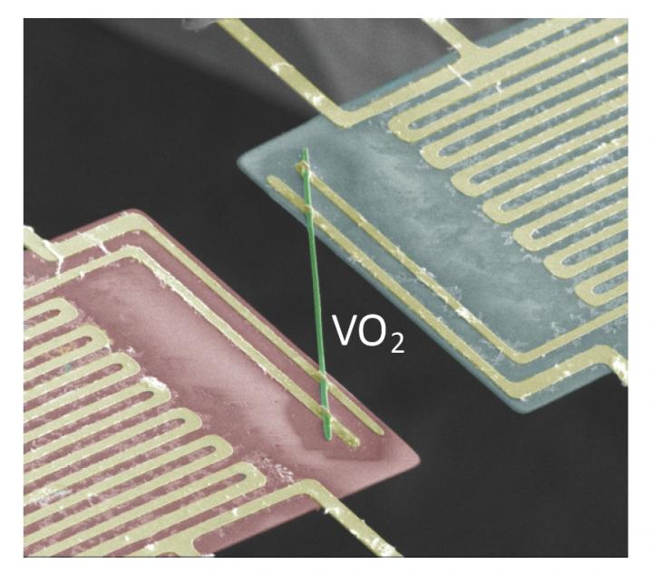 Vanadium Dioxide SEM