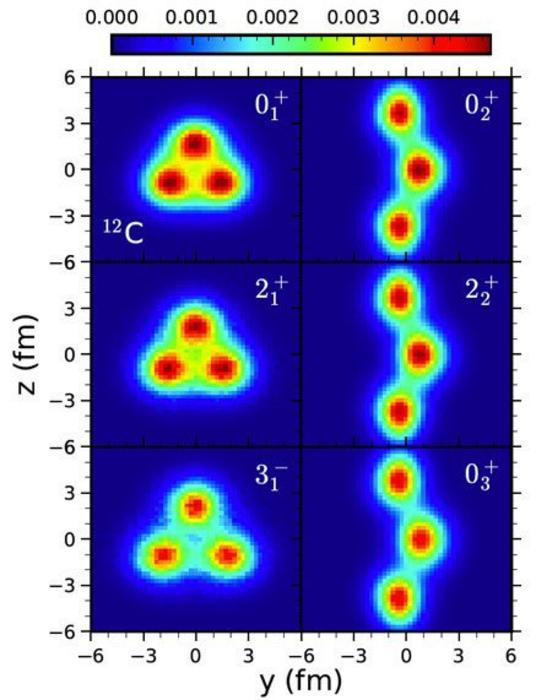 Scientists Probe the Emergent Structure of the Carbon Nucleus