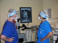 Assessing Gene Therapy Treatment in the McEwen Centre for Regenerative Medicine, UHN