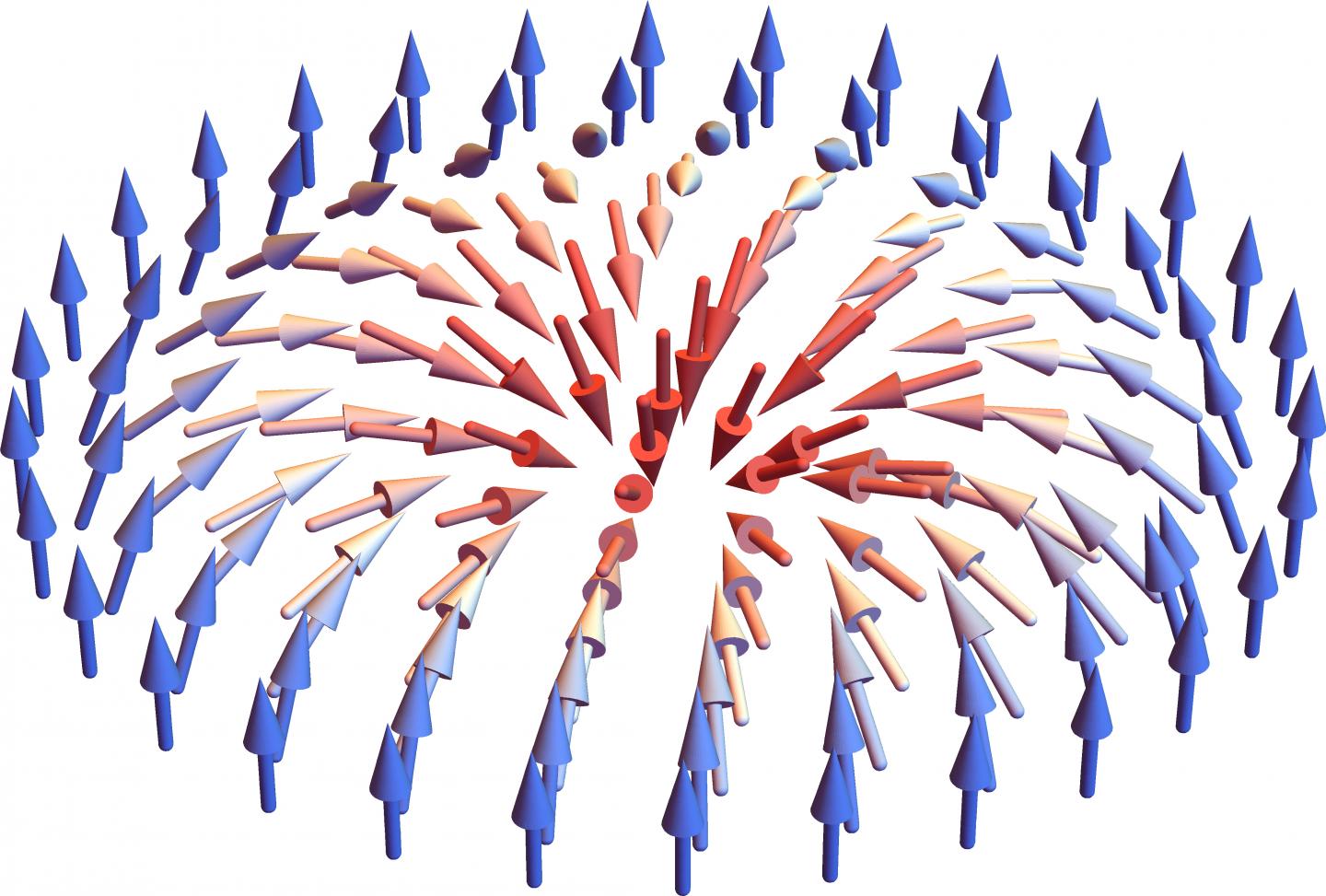 The Configuration of Spins in a Néel Skyrmion