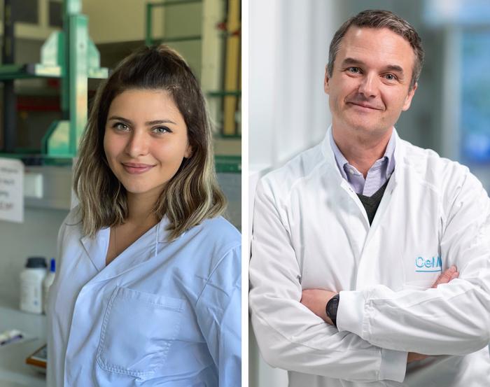 Authors of the study