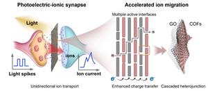 Retina-inspired cascaded van der Waals heterostructures for photoelectric-ion neuromorphic computing