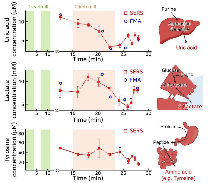 KAIST Develops Smart Patch That Can Run Tests Using Sweat Instead of Blood​