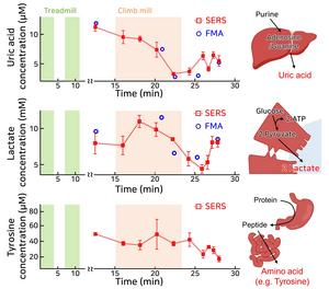 KAIST Develops Smart Patch That Can Run Tests Using Sweat Instead of Blood​