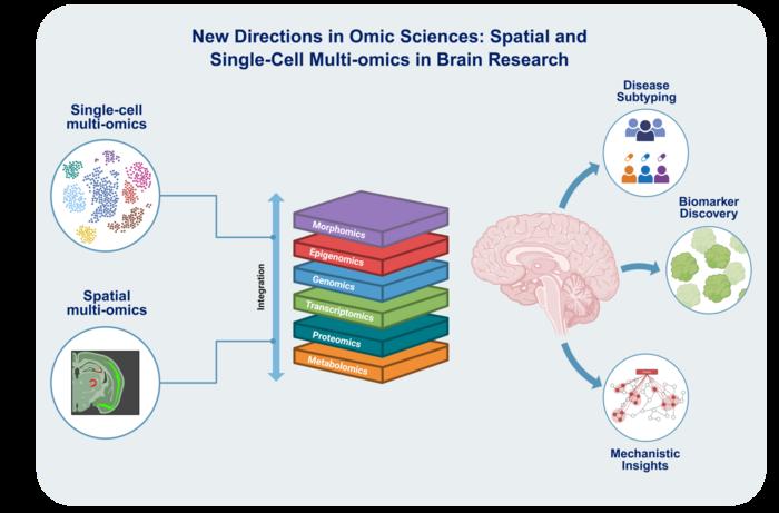 New Directions in Omic Sciences: Spatial andSingle-Cell Multi-omics in Brain Research