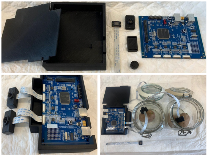 Biosensor System