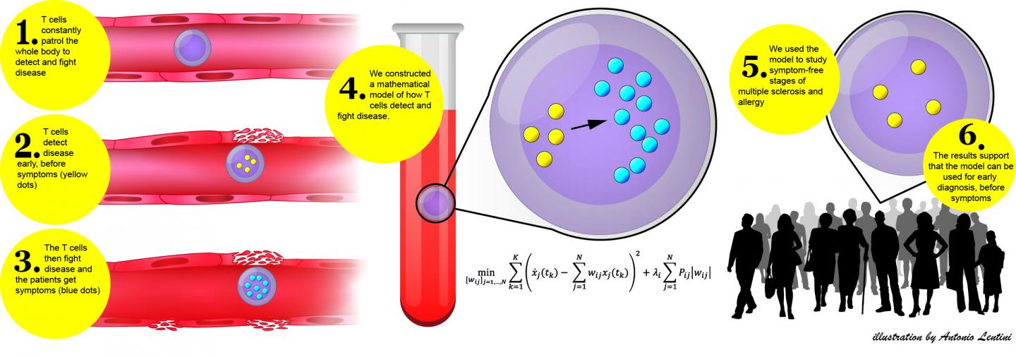 Early Diagnosis By Analyzing The Genetic Activity Of T-Cells
