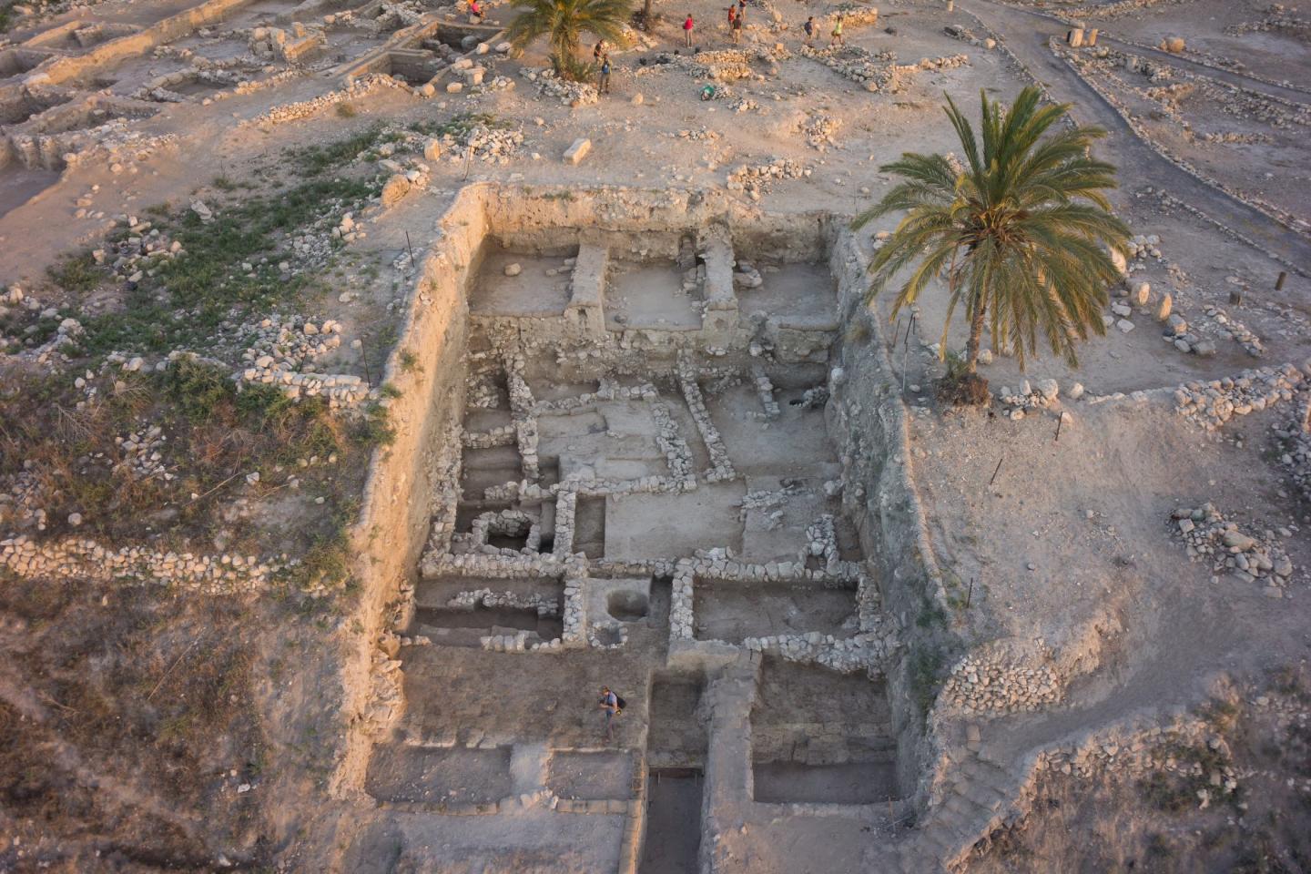 Area at the Site