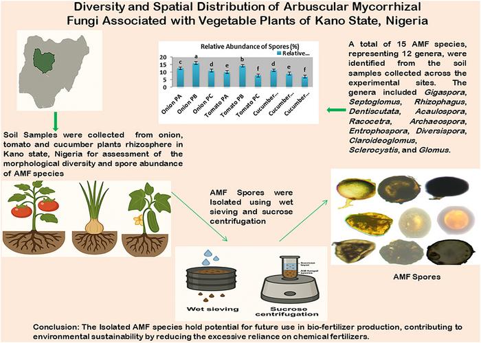 Graphical Abstract