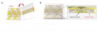 3-D Pressure Sensor (2 of 2)