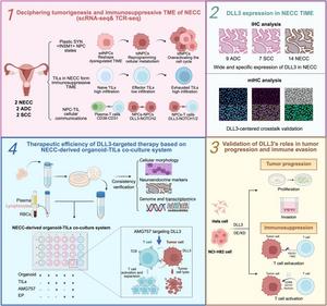 Graphical abstract of the workflow of the study and significant findings.
