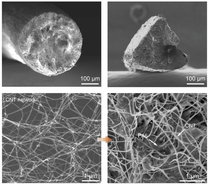 Thermoplastic processability and microstructure of carbon nanotube superplastics