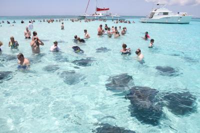 Tourists with Stingrays