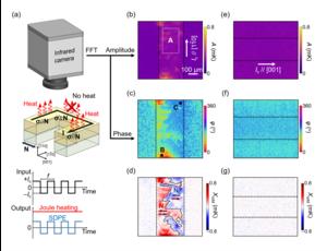 Real-space thermal imaging of altermagnetic domains in RuO2 using lock-in thermography