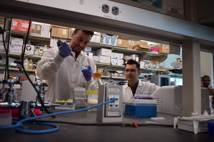 Researching HIV gene therapy for newborns