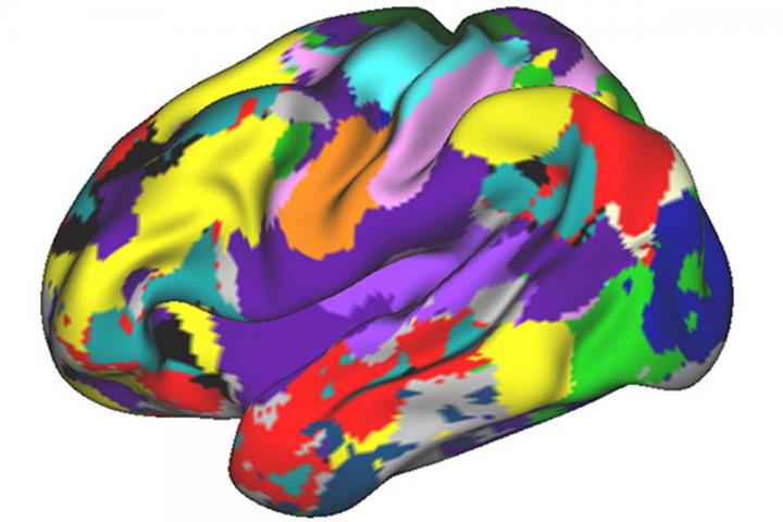 Dosenbach Brain