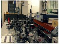 First Experiment to Verify PT Symmetry