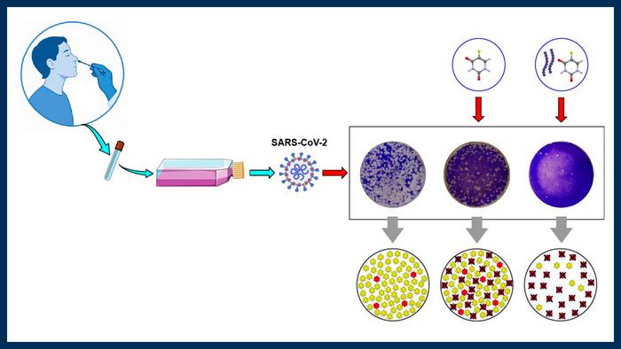 New antiviral strategy against SARS-CoV-2, the pathogen responsible for causing COVID-19 disease