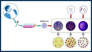New antiviral strategy against SARS-CoV-2, the pathogen responsible for causing COVID-19 disease