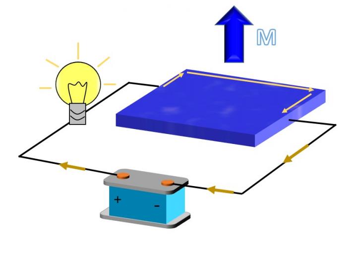 Exotic Magnetic Insulator