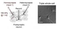Experimental Setup