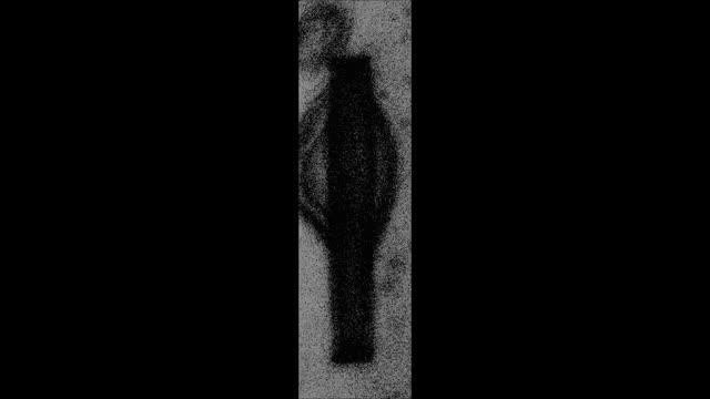 Pulsed Laser Illuminates Bacteria That Are Trapped in a Plasmonic Waveguide