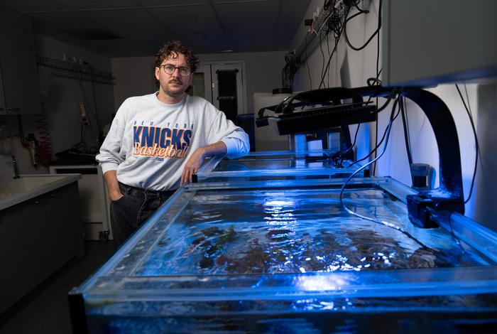 New insights reveal how coral gets a grip