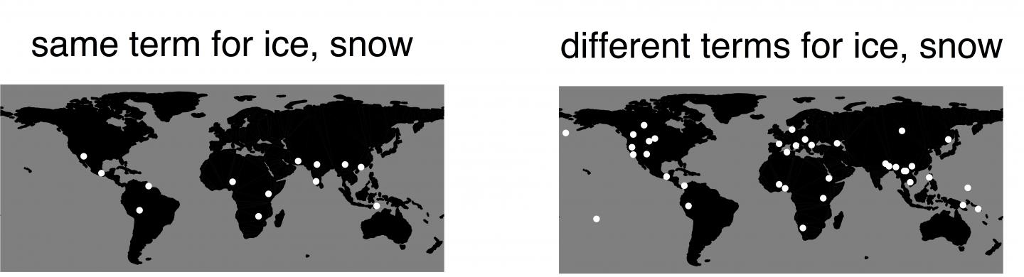 Languages Support Efficient Communication About the Environment