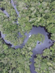 Aerial river
