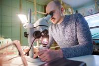 Gleb Artemov, National Research Tomsk State University