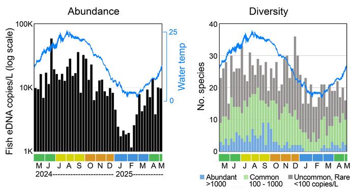 Tracking abundance, diversity of fish in urban river